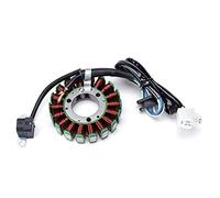 Szwaldaper Bobina de estator motocicleta compatible, for, TTR250 TT-R250 1999-2006 TT250R TT-R 1993-2004 RAID 1994-1996 Generador Magneto Szwaldaper