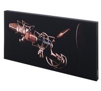 t.akustik Print Panel Mic Check
