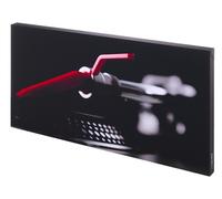 t.akustik Print Panel The Needle