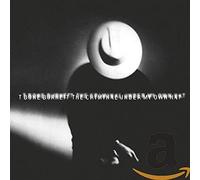 T Bone Burnett - Criminal Under My Own