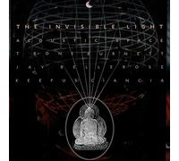 T Bone Burnett Jay Bellerose Keefus Ciancia - The Invisible Light: Acoustic Space