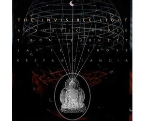 T Bone Burnett Jay Bellerose Keefus Ciancia - The Invisible Light: Acoustic Space