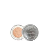 T.LeClerc Dermophilic Poudre de Riz Polvo suelto 20 g 10 Ambré