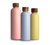 T&N Termo de acero inoxidable de 750 ml, con tapa de madera de acacia, con aislamiento, a prueba de fugas en ácido carbónico, 750 ml, color azul cielo