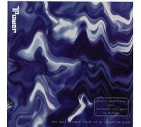 T Power - Self evident truth of an intuitive mind (1995)