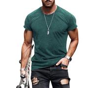 T-Shirt Homem, Poliester Slim Fit Fashion Transpirable Transpirables Antisudor Manga Corta Leñador Fitness Cuello Redondo Personalizada Deportiva Deporte Camisetas Basicas,S