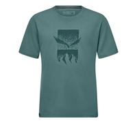 T-shirt Salewa Eagle 3cime L Male