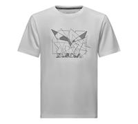 T-shirt Salewa Eagle Geometric S Male