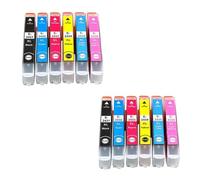T2431-T2436 T2431 24XL Cartucho de Tinta, Compatible con Epson Expression XP55 XP750 XP760 XP850 XP860 XP950 XP960 XP970 XP-55 XP-750 XP-760(1SET(12PC))
