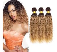 T4/27 Bundles Ombre Dark Brown Bundles Kinky Curly Human Hair Honey Blonde Bundles 24 26 28 Inch Grade 8A Brazilian Real Unprocessed Virgin Human Hair Dark Brown To Honey Blonde Bundles