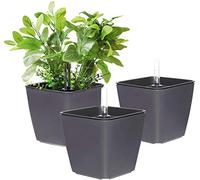 T4u 13CM Auto Riego Plantador Gris Cuadrada Paquete de 3, Maceta para Interiores al Aire Libre Jardines de Windowsill Planta Decorativa para Flores Hierbas