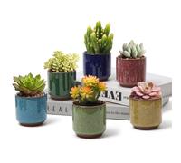 T4U 2.5 Inch Small Ceramic Succulent Planter Pot with Drainage Hole Set of 6 Ice Crack Glaze Porcelain Handicraft Plant Container Gift for Mom Sister