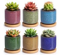 T4u Maceteros Decorativos Interior De Cerámica 6 Cm para Suculentas Y Cactus, Macetas Decorativas Interior Mini con Efecto Craquelado, Set De 6 Colores con Platillo, Maceta (Sin Plantas)