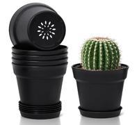 T4u maceteros Decorativos Interior de Plástico 12.5 cm con Plato, Set de 6 Maceta Redonda con Orificios de Drenaje, macetas plastico para Interior y Balcón, Suculentas y Cactus, Negro