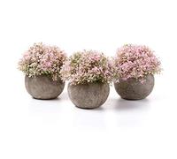 T4U - Plantas Artificiales de plástico, lágrimas de bebé, Falsa Flor en Maceta, decoración para el hogar, Oficina, jardín, habitación, Verde, Regalo para Amigos Familiares (Rosa)