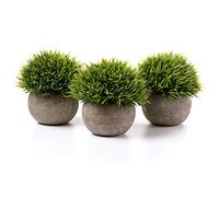 T4u Plantas Artificiales Decorativas Hierba Verde Pack de 3 para Interior | Sin mantenimiento, aspecto realista, macetas incluidas, escritorio, oficina, estantería, dormitorio, decoración del hogar