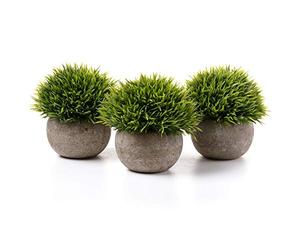T4u Plantas Artificiales Decorativas Hierba Verde Pack de 3 para Interior | Sin mantenimiento, aspecto realista, macetas incluidas, escritorio, oficina, estantería, dormitorio, decoración del hogar