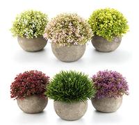 T4u Plantas Artificiales Plásticas Flor Decorativa en Maceta Lleno de Color para Oficina en Casa Paquete de 6