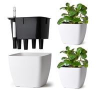T4u Set de 3 Macetas Autorriego 17,5 cm Cuadradas con Indicador de Agua, Maceta Autorriego para Principiantes y Ocupados, Maceteros Interior, para Pothos y Monstera, Uso Interior y Exterior (Blanco)