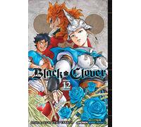 Yuki Tabata – Black Clover – Vol. 12 – BLACK CLOVER GN