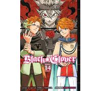 Tabata, Yuki - Black Clover, Vol. 14: Volume 14 (BLACK CLOVER GN)
