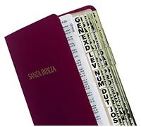 Tabbies Pestañas de indexación de la Biblia española con bordes dorados, con impresión grande, Antiguo y Nuevo Testamento, 84 pestañas incluyendo 64 libros y 20 pestañas de referencia (58355)