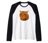 Tabby Cat Cry Funny Crying Cat Meme Hilarious Weird Cat Face Camiseta Manga Raglan