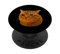 Tabby Cat Cry Funny Crying Cat Meme Hilarious Weird Cat Face PopSockets PopGrip Adhesivo
