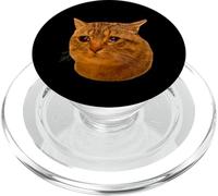 Tabby Cat Cry Funny Crying Cat Meme Hilarious Weird Cat Face PopSockets PopGrip para MagSafe