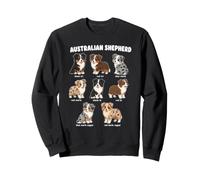 Tabla De Colores De Cachorros De Pastor Australiano Arte De Sudadera