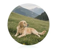 Tabla de cortar de vidrio templado Dog on The Prairie de 8 x 8 pulgadas con patas de goma, antideslizante y resistente al calor, pequeñas tablas de cortar de regalo para cocina, bar, camping, boda