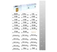 Tabla de crecimiento de espejos para pared - Regla de decoración de pared de medición de altura | Gráficos de crecimiento de altura para niños pequeños y niñas