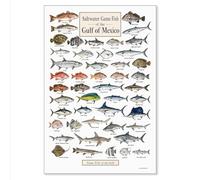 Tabla de identificación de peces de agua salada del Golfo de México, guía de especies de pesca costera, pargo rojo, mero, atún, marlín, tiburón, pescador, referencia de playa, casa, marina, decoración