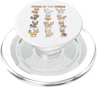 Tabla de Nombres de Zorros del Mundo para niños, Especies de Zorros Lindos PopSockets PopGrip para MagSafe