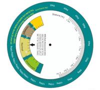Tabla giratoria para la determinación rápida del índice de masa corporal de tamaño y peso para cheques de salud, tarjeta redonda de 15 cm (MS10)