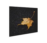 Tabla protectora de encimera, de cerámica, 60 x 52 cm, de gran tama?o, de cristal templado, para cortar, se puede colocar en la pared para evitar salpicaduras, protector de vitrocerámica
