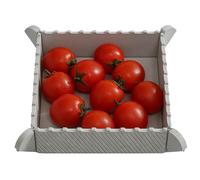 Tablas De Cortar Plegables Para Cocina, Contenedor de Silicona Magnético, Tabla de Cortar Plegable y Reutilizable para Acampada, para Cocina en Casa, al Aire Libre, Acampada, Senderismo, Viaje