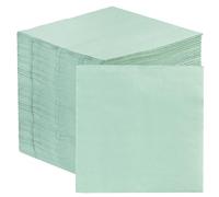 Table Fun 100 x Servilletas de Papel Verde Salvia Suave | 2 capas 33 cm | Servilletas Desechables para Fiestas, Bodas, Baby Showers, Despedidas de Soltera y Bautizos