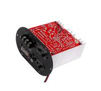 Tablero de Amplificador de Coche Amplificador de Subwoofer de Alta Potencia de 12V 120W Tono Completo Bajo Puro Subwoofer de Coche NúCleo 8-12