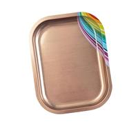 Tablero de exhibición de herramientas de manicura de acero inoxidable, bandeja de arte rectangular para entusiastas de maquillaje, herramienta de estudio de maquillaje, placa de arte práctica