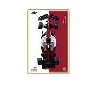 Tablero de exhibición de pared para Le*go-a 1:8 para Al-fa Romeo F1 Team C42 Car - Panel de montaje en pared de 50 x 80 cm - Regalo para fanáticos de autos de carreras L-e*g-o (solo tabla) (A,Light)