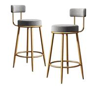 Taburete de Bar Redondo, Taburetes de Bar de Altura de mostrador con Respaldo, Multicolor, Varios tamaños, Paquete de 2, 300 LB(Grey,Sitting Height: 65cm)