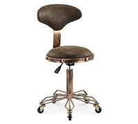 Taburete de salón con ruedas vintage, silla de peluquería de altura ajustable con respaldo para peluqueros y artistas de maquillaje, asiento de trabajo cómodo, elegante y funcional con ruedas