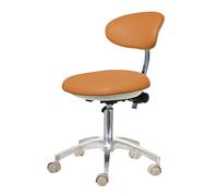 Taburete giratorio hidráulico con respaldo, taburete ajustable para dentista, salón, tatuaje, spa, clínica