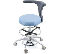 Taburetes Taburete Dental Giratorio de 360 Grados con Altura Ajustable y Respaldo, Multicolor, Varios tamaños(B4,A15)