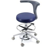 Taburetes Taburete Dental Giratorio de 360 Grados con Altura Ajustable y Respaldo, Multicolor, Varios tamaños(B4,A8)