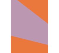 Taccuino a quadretti con numeri di pagina - 100 pagine, formato A5, taccuino perfetto per matematica, grafici, bullet journal, appunti tecnici, ... scuola e ufficio, colore copertina MANDARINO