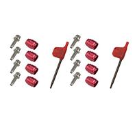 Tacdas 2 Juegos Kit de ConexióN de Aceite de InsercióN de Oliva para Bicicleta para Avid, Disco HidráUlico