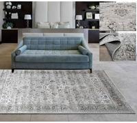 Tadi & Imperio1979 Alfombra clásica Muy Fina salón Grande, de Estilo Tradicional y Elegante Colores beig, taupes y Plata.