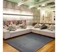 Tadi & Imperio1979 Alfombra de Salón Vinílica Trenzada de Color Gris y Parte Trasera de PVC Terminación Borde de Festón Fino, Color Gris de Tamaño de 120x170